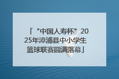 “中国人寿杯”2025年漳浦县中小学生篮球联赛圆满落幕